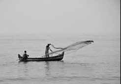 Beaches in Kozhikode