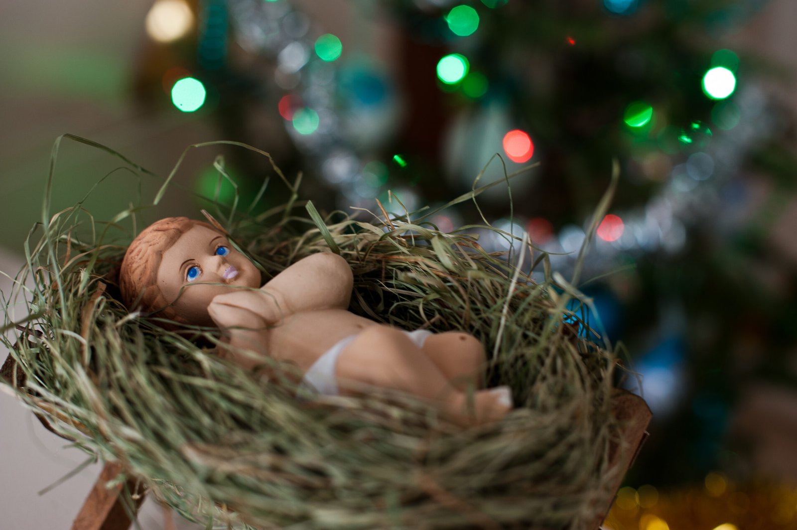 Christmas Crib 2025 Ideas